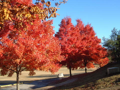 739000228