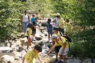 Our photo