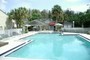 443800440