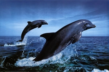 Our photo