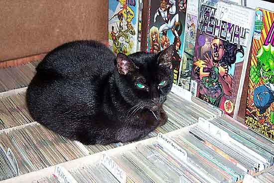 Picture