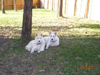 Our photo