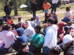 Picture