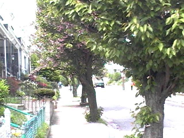 Our photo