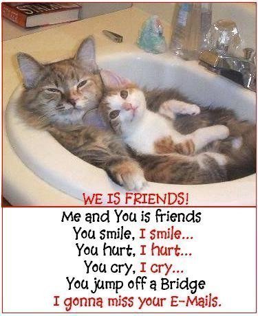 Our photo