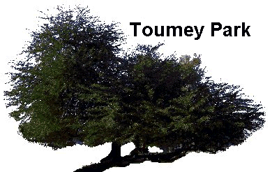 429243581